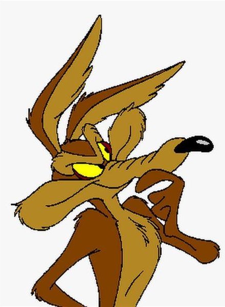 Coyote vs. Acme