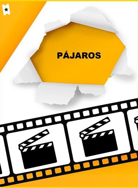 Pájaros