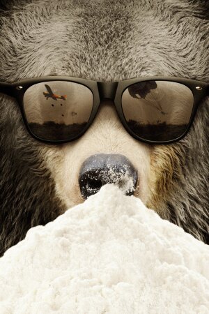 Cocaine Bear: The True Story